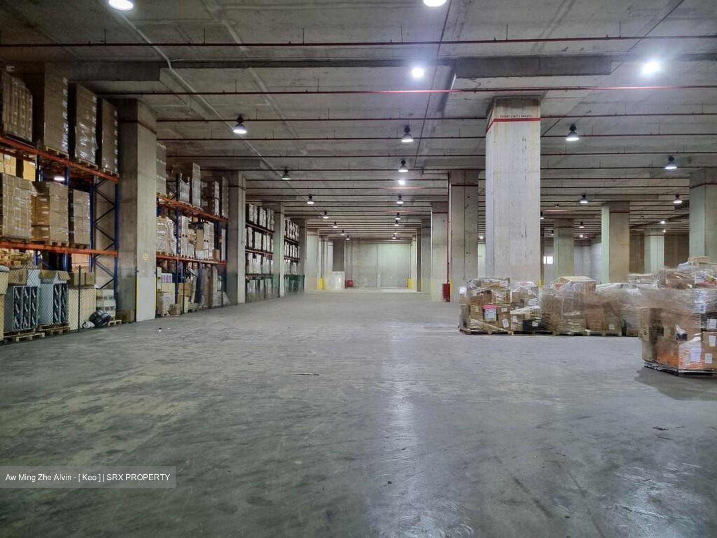 Gul Crescent (D22), Factory #565766201